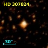 HD 307824