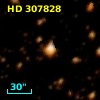 HD 307828