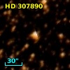HD 307890
