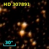 HD 307891