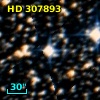 HD 307893