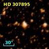 HD 307895