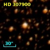 HD 307900