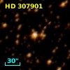 HD 307901