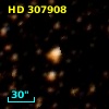 HD 307908