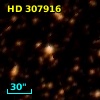 HD 307916