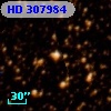 HD 307984