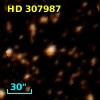 HD 307987
