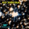 HD 308036