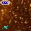 CGCS 6391