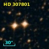 HD 307801