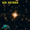 HD 307844