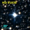 HD  91838