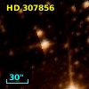 HD 307856