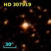 HD 307919