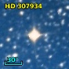 HD 307934