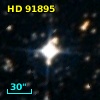 HD  91895