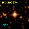 HD 307974