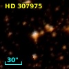 HD 307975