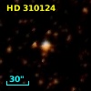 HD 310124