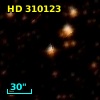 HD 310123