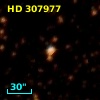 HD 307977