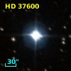 HD  37600