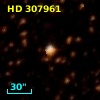 HD 307961