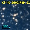 Cl* IC 2602    FBH      21