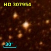 HD 307954