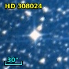 HD 308024