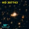 HD 307743