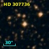 HD 307736