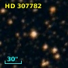 HD 307782