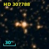 HD 307788
