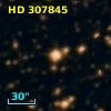 HD 307845