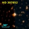HD 307852