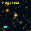HD 307853
