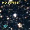 HD 307855