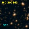 HD 307863