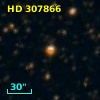 HD 307866