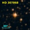 HD 307868