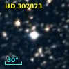 HD 307873