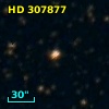 HD 307877