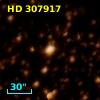 HD 307917