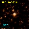 HD 307918