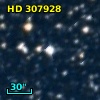 HD 307928