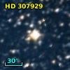 HD 307929