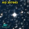 HD 307943