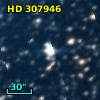 HD 307946